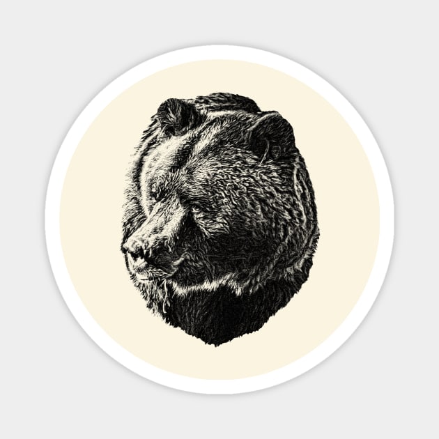 Brown bear Magnet by Guardi